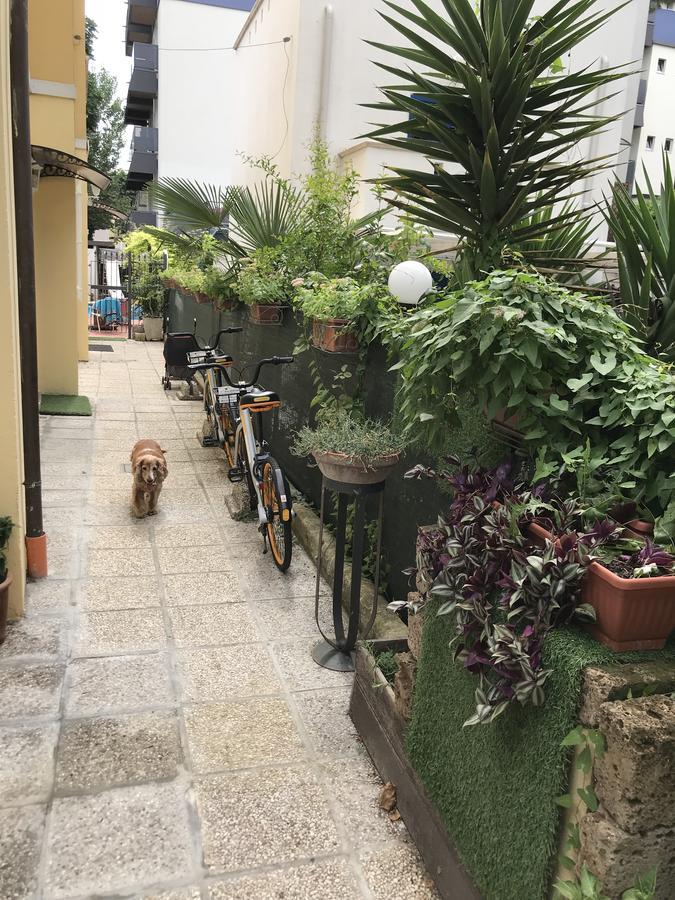 Villa Grazia Rimini Exteriér fotografie
